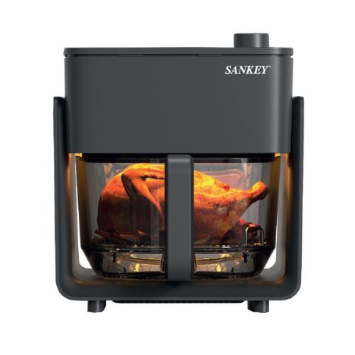 FREIDORA DE AIRE TIT 4,2 LT SANKEY